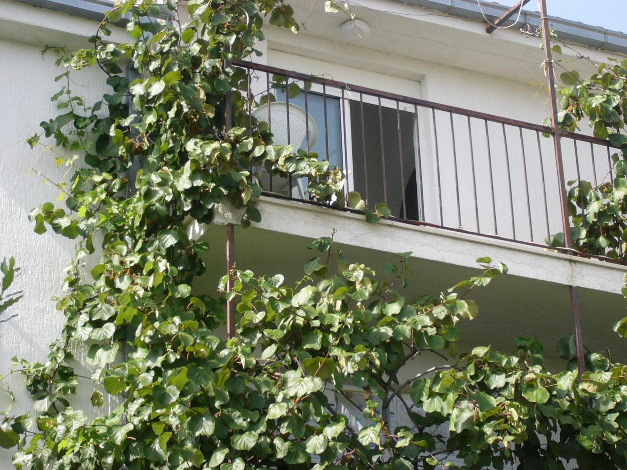Apartments Prizmic Подстрана Экстерьер фото